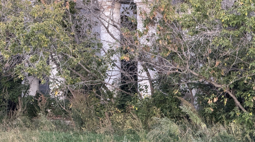 Омские деревни с домами и припиской к избирательным участкам записали в вымершие