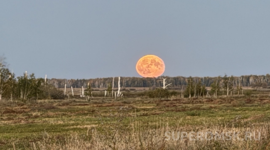 Новые технологии едва не лишили омича доступа к земле на 49 лет