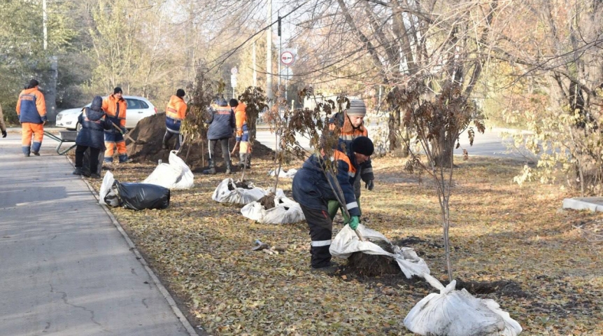 Мэр Омска Сергей Шелест сообщил об осеннем озеленении города