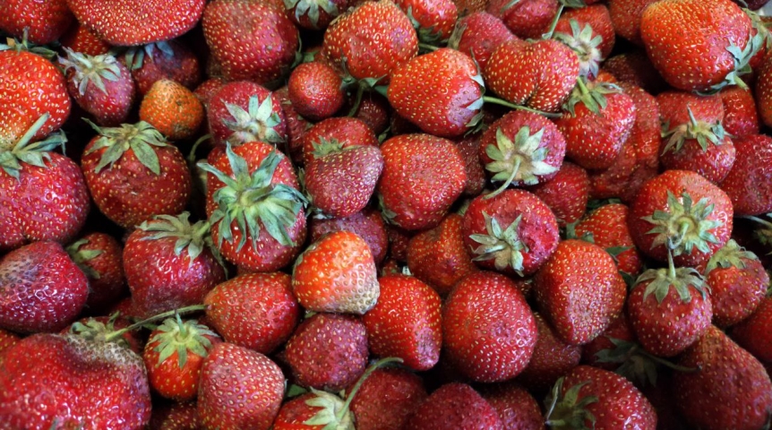 Зараженная клубника не попала на омские прилавки