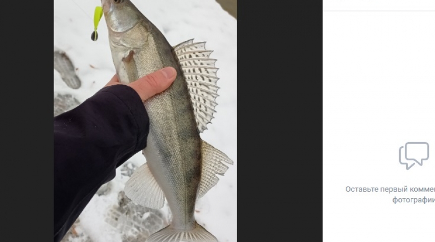 Омский рыбак показал богатый улов с закрытия сезона