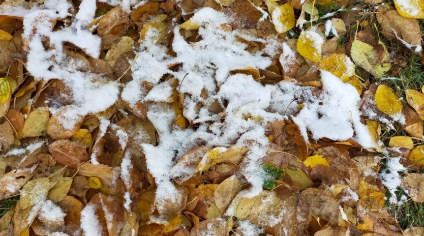 В Омской области очень скоро сильно похолодает