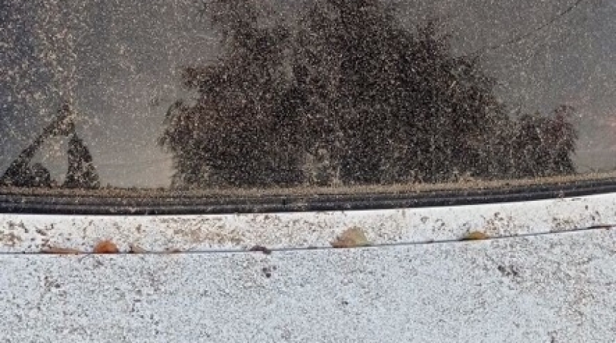 Омское предприятие предостерегли из-за всепокрывающей пыли