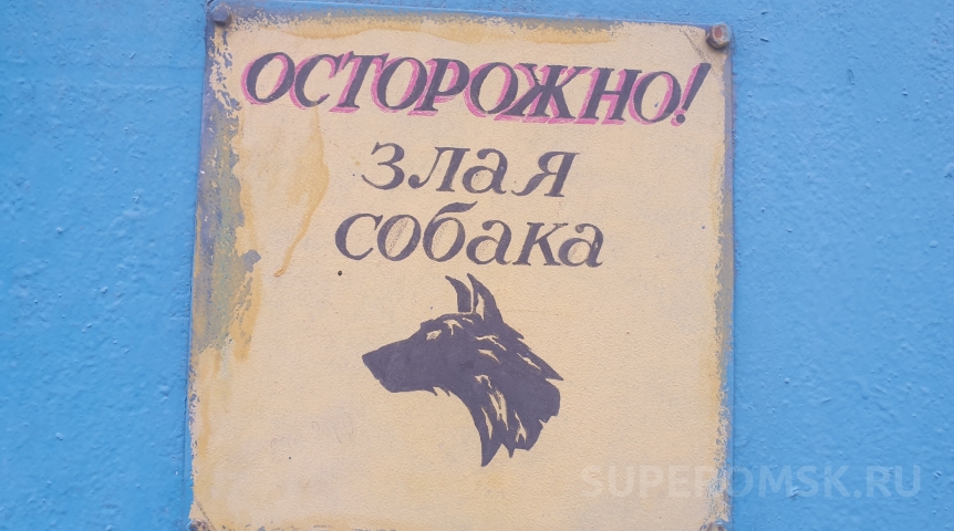 Общество Появилось видео «нейтрализации» овчарки, заблокировавшей омичку в ПВЗ