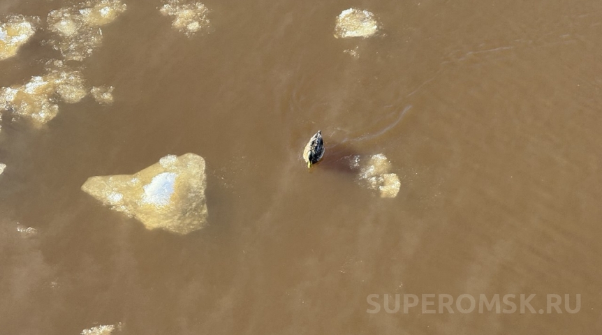 Утки не могут покинуть Омск и дрейфуют меж льдов