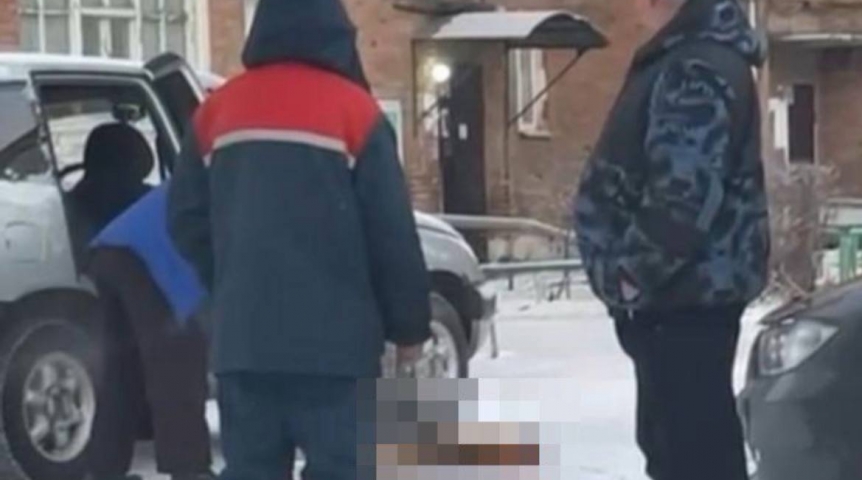 «Искусала ноги и руки»: в Омской области бешеная лиса вцепилась в девушку