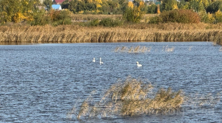 В небе над Омском замечено красивейшее осеннее явление