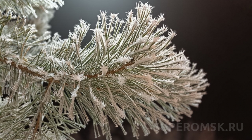 Сибирь и Омскую область накроет антициклон с морозами до -40 градусов