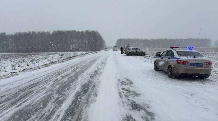 При разгаре метели в Омской области во время аварии погиб человек