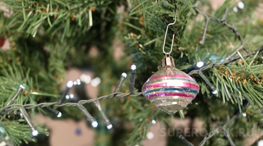 Омичка разыскала и отдала полиции рубщика дворовой ели перед Новым годом