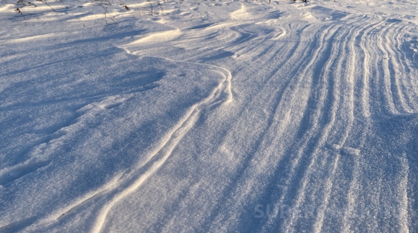 Омские лыжники припомнили «Авангарду» их обещание
