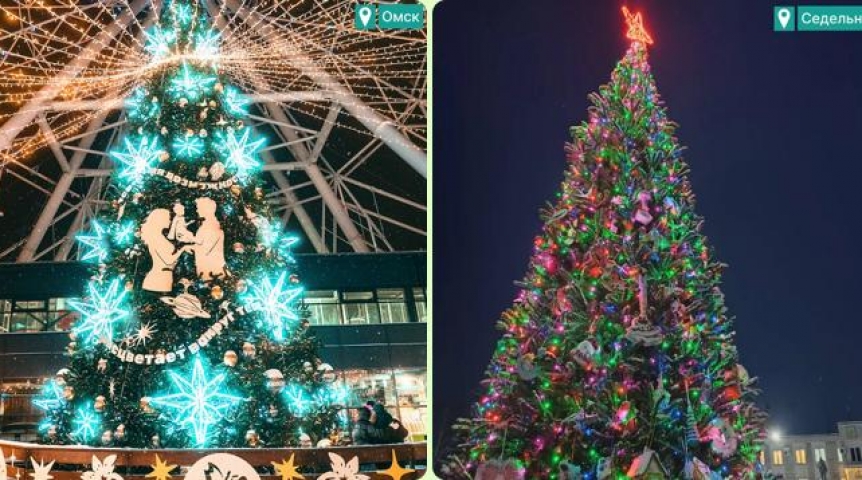 Выбраны самые красивые елки Омска и области