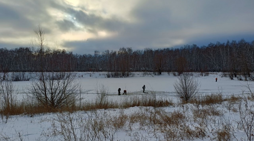 Во время рыбалки в Омской области выудили аномально большую щуку