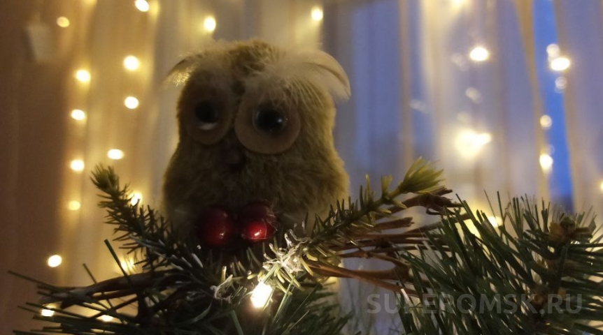 Деды Морозы могут представлять риск для юных омичей