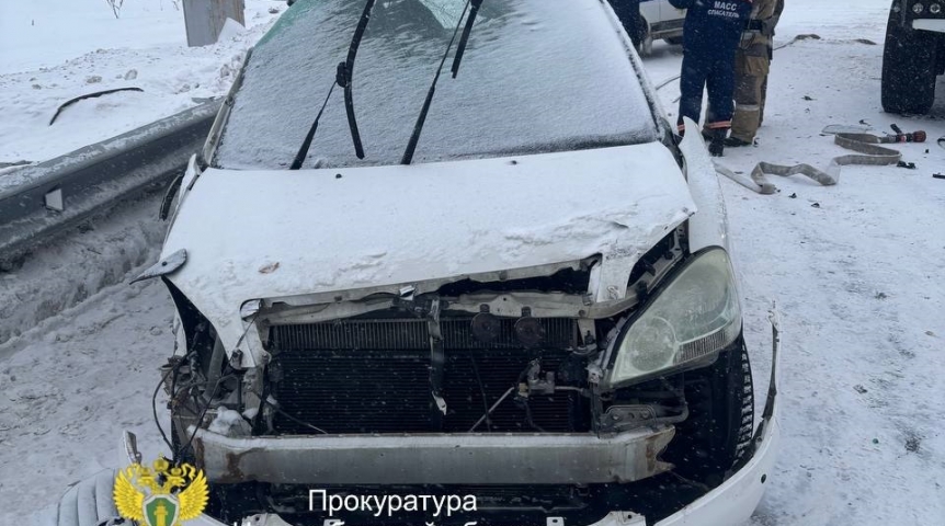 Появились подробности о семье, погибшей в автомобиле с омскими номерами под Новосибирском