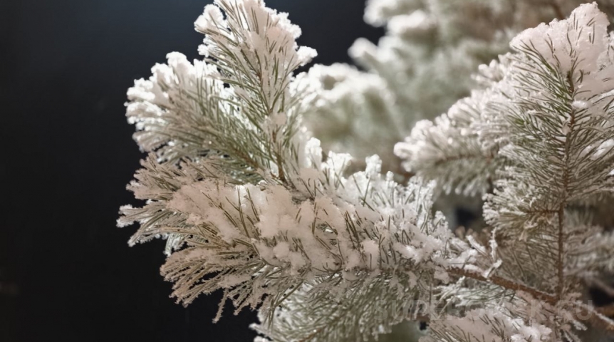 Стала известна дата ухода морозов из Омска