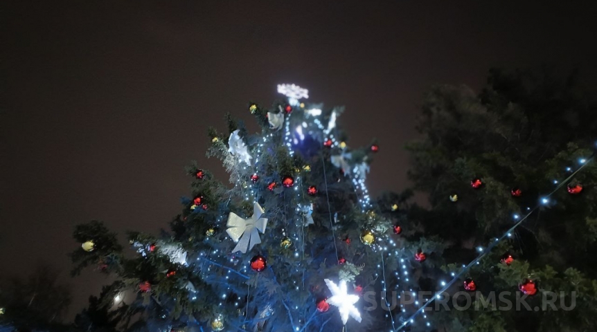 В омской полиции заявили о предновогоднем криминале с соснами