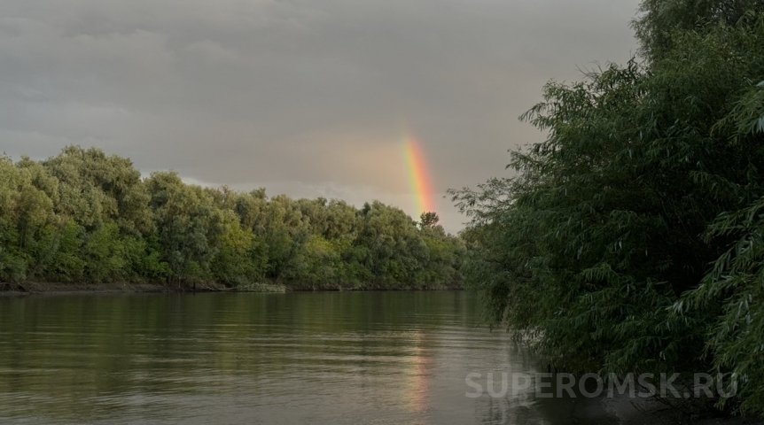 Судьбу оазиса у омского озера Эбейты решили в суде
