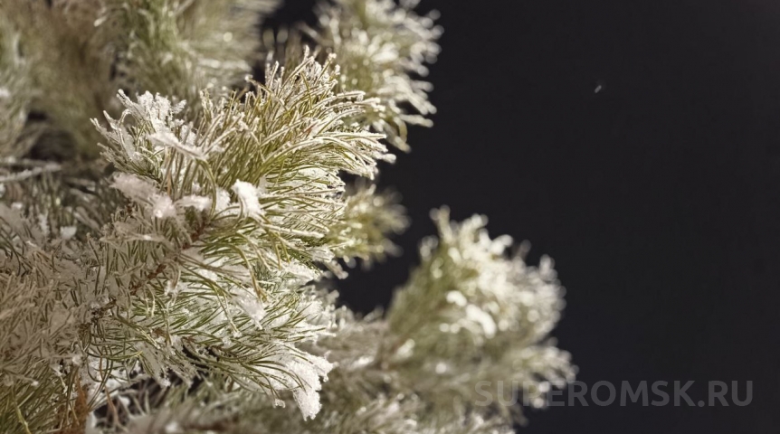 На Омскую область передали длительное экстремальное похолодание