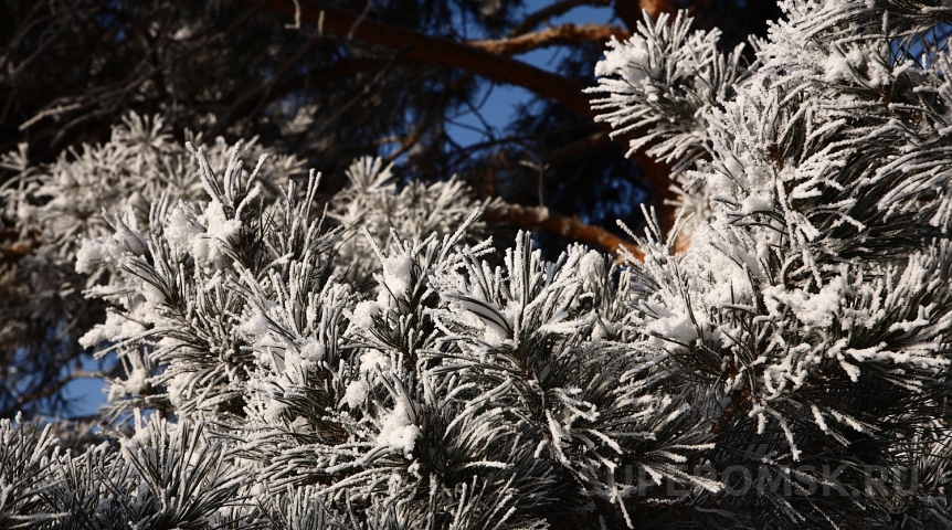 Морозы нанесут сокрушительный удар по Омской области и Сибири