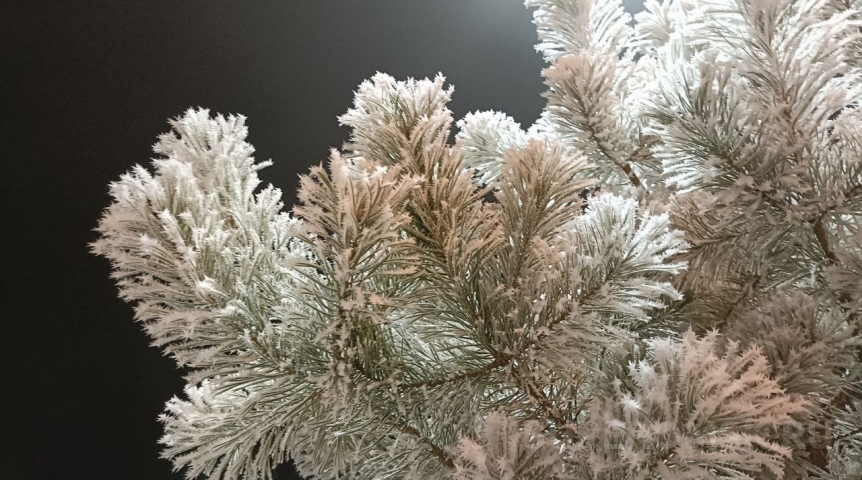 Морозы на полмесяца: оглашен неутешительный прогноз для Омской области