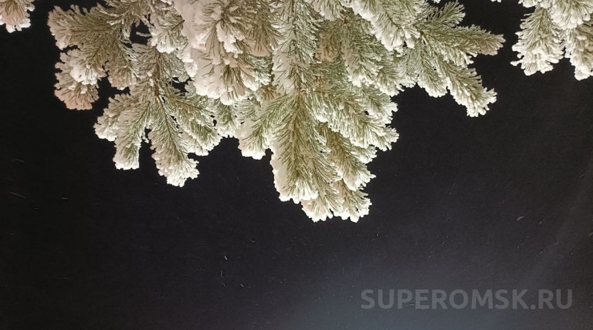 В Омской области ожидается мощная волна морозов: когда их ждать?