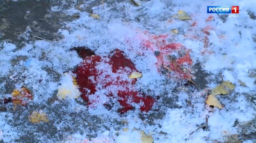 Опубликованы «кровавые» кадры с места убийства известного омского строителя