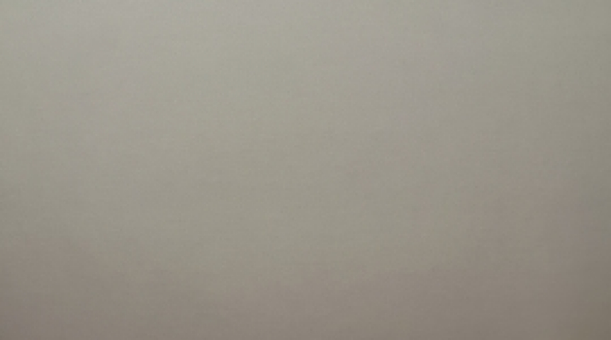 Появились детали потасовки с газовым баллончиком в Омске