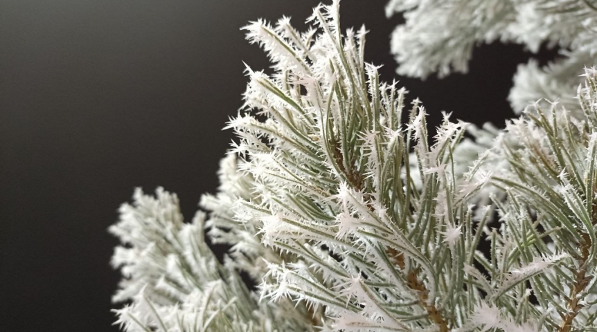 Стала известна дата прекращения морозов в Омске: она наступит скоро