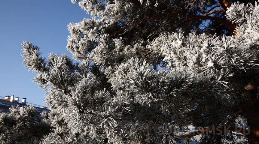 Ниже -40°C: по Омской области объявили опасное явление