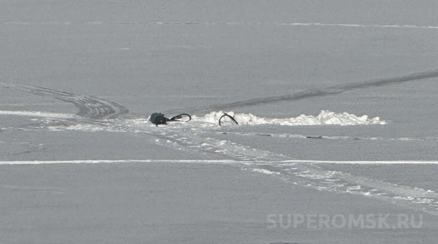 В «Птичьей гавани» в Омске начали бороться с замором рыбы