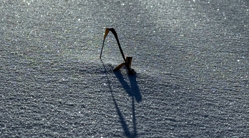 Жизнь вахтовика: один день на якутском месторождении