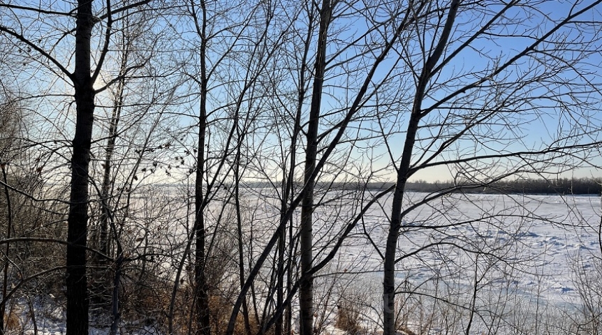 Омичам предлагают принять участие в подсчете воробьев