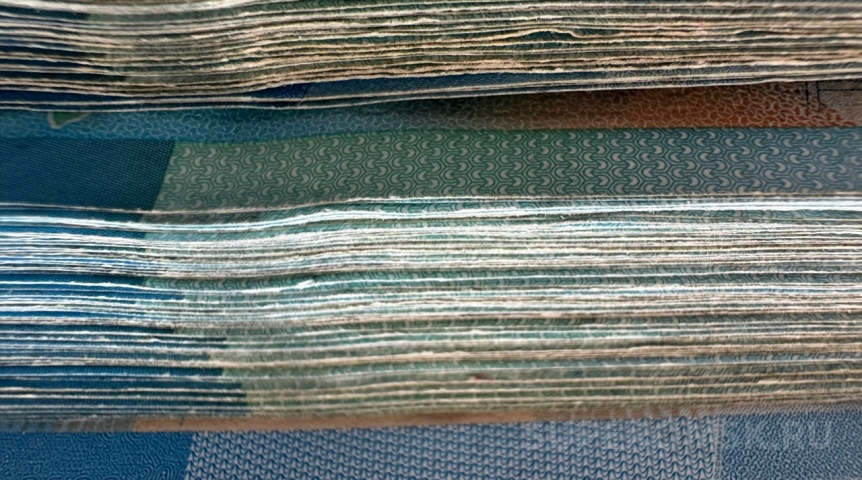 Омичей предупредили о признаках финансовой пирамиды у «бонусного» проекта