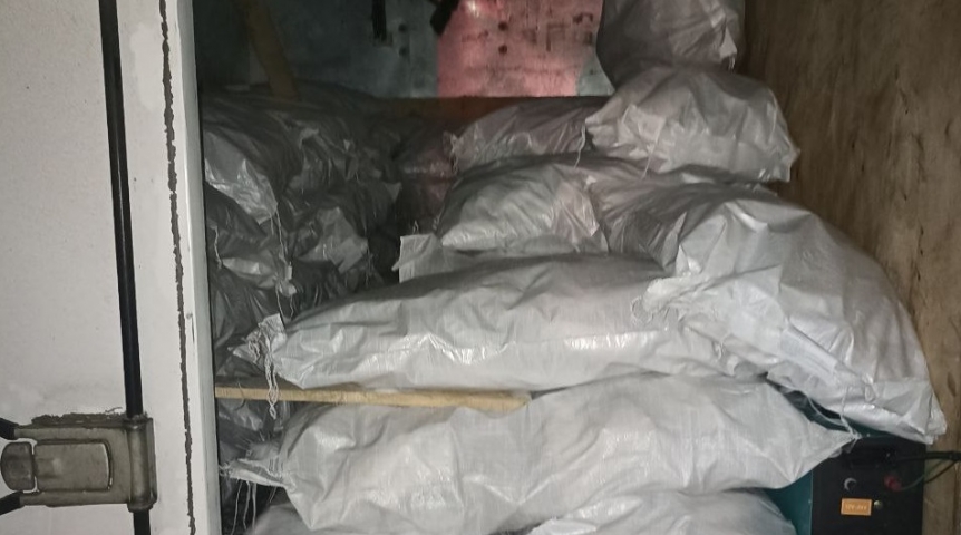 Омск решили завалить нелегальной рыбой