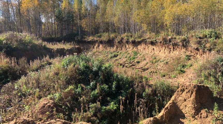 Под Омском нашли нелегальную добычу полезных ископаемых