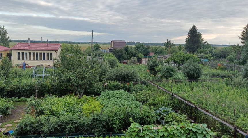 В Омске запретили продажу 14 сортов яблонь и груш