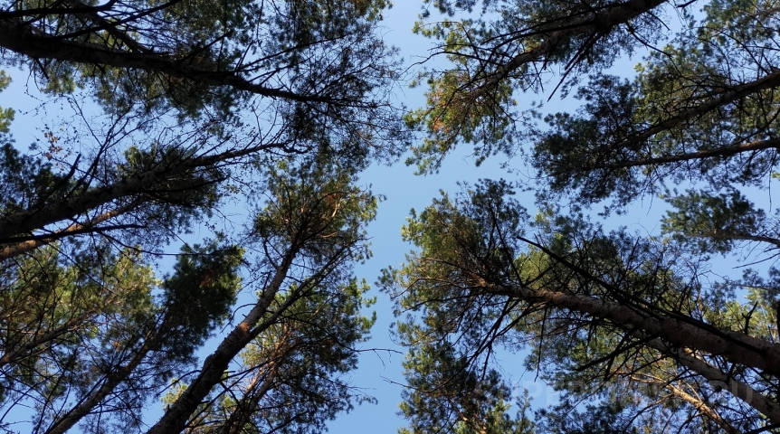 Застройщик проиграл суд после работ на бывшем омском кладбище