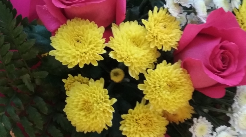 В Омске уничтожили 5,6 тысячи цветов перед Днем влюбленных