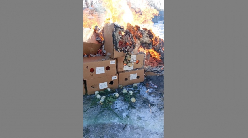 В Омской области перед 8 Марта сожгли 1,7 тысячи цветов