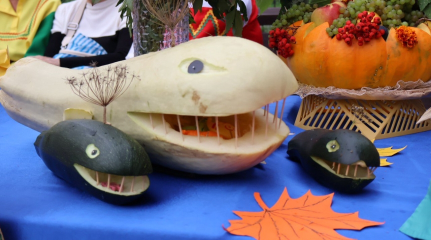 В Омске к сезону забраковали 290 сортов семян