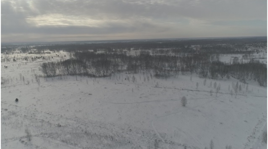 50 га омской земли использовались не по назначению