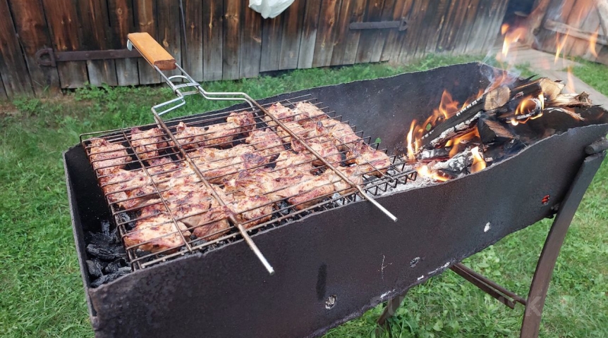 В Омской области вводят официальный запрет на жарку шашлыков