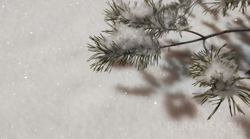 Холод до апреля: озвучены пугающие сроки аномальных морозов в Омской области