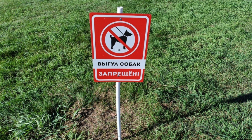 Под Омском запретили нелегальный питомник, где содержались десятки собак