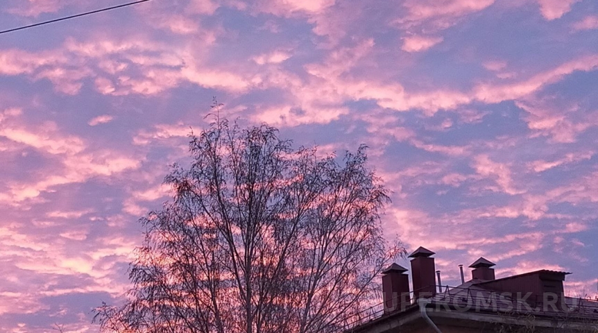 Названы сроки прихода весны в Омскую область