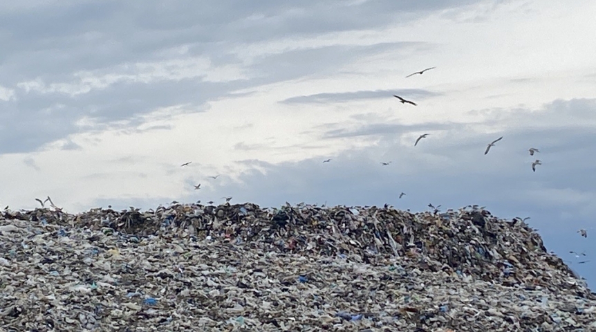 Власти раскрыли цели «Омского регионального экологического оператора»