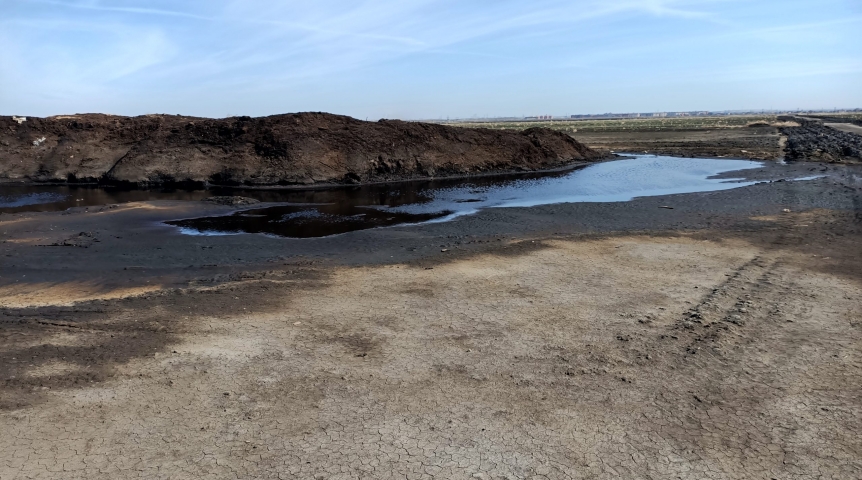 Омича оштрафовали за загрязнение земель фекальными бактериями