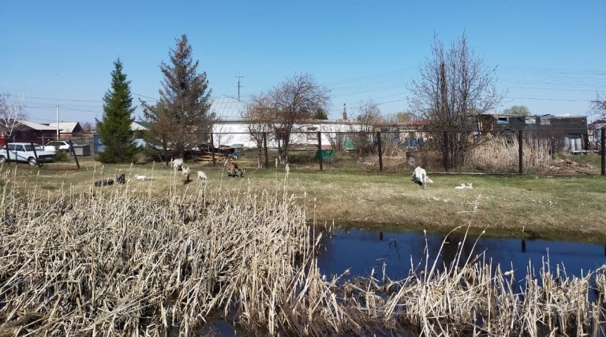 На Омск и область обрушится аномальная жара до +22 °C