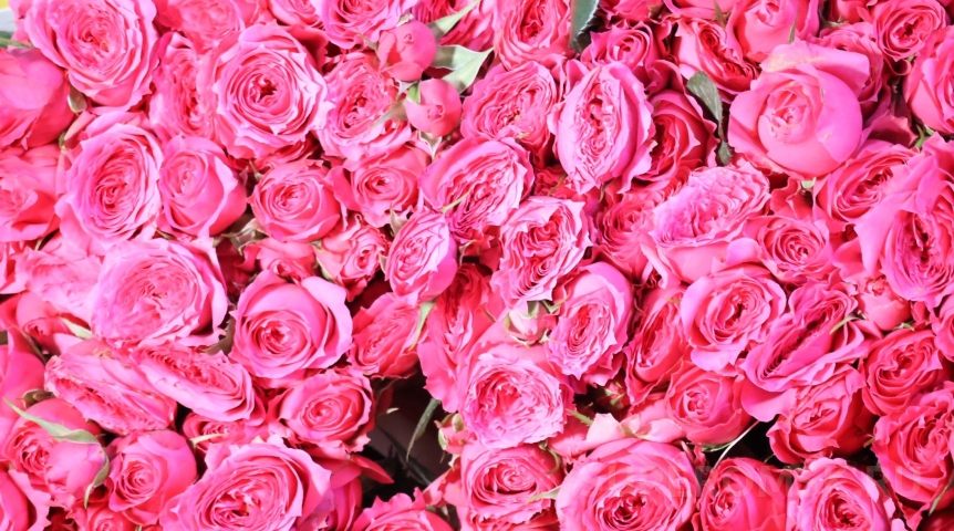 Омичей предупредили о мошенниках перед 8 Марта: «тайные поклонники» и фальшивые конкурсы